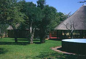 Cottage. An incredible game ranch. A fully-fenced private game farm on the
Springbok Flats in the Northern Province of South Africa.  
This area is within two hours' drive from Johannesburg 
International Airport. The farm is located 45km north of 
Marble Hall, the nearest town where all necessary facilities 
are available.  With the extraordinary benefit of the farm 
housing three different types of vegetation, it is well-suited 
for game farming. Wildlife species on the property includes impala, kudu, eland, red hartebeest, blue wildebeest, 
zebra, waterbuck, ostrich, giraffe, gemsbok (oryx), 
blesbok and warthog. Smaller species such as duiker, 
steenbok, jackal, lynx, aardvark and aardwolf are also 
present. Over 120 bird species have been identified, including several breeding pairs of vulture. Luxury cottages in true bushveld
    surroundings, a central lapa, swimming pool, chalet, lookout towers at waterholes, boreholes, game fence, landing strip. Wildlife farm/ranch/reserve for sale